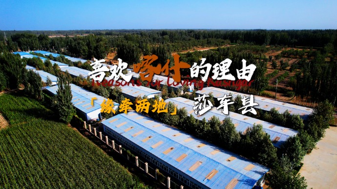 喜欢喀什的理由 | 缘牵两地莎车县