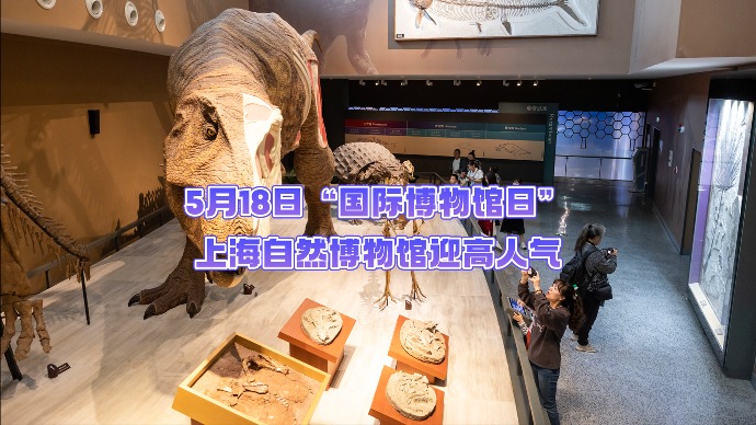 探索生命、拓宽视野，上海自然博物馆迎高人气