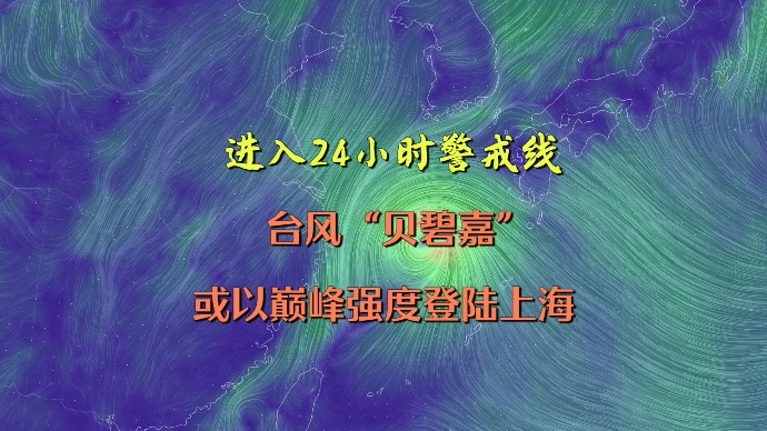 “贝碧嘉”明天凌晨到上午登陆上海浦东到浙江舟山一带