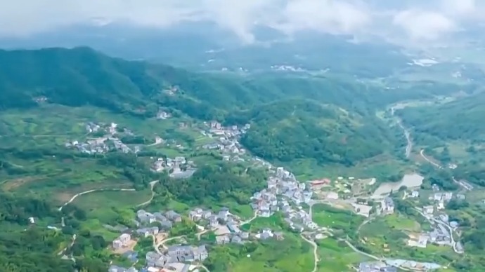 锚定现代化 改革再深化丨深化集体林权制度改革，谱写兴绿富民新篇章