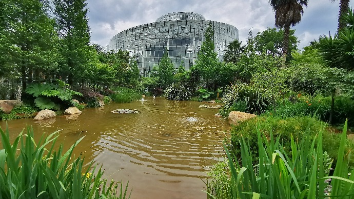 走马“植物活标本库”昆明植物园