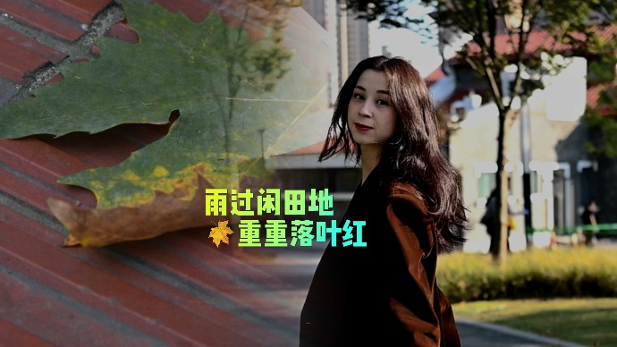 “雨过闲田地，重重落叶红”，一同感受秋日落叶之美