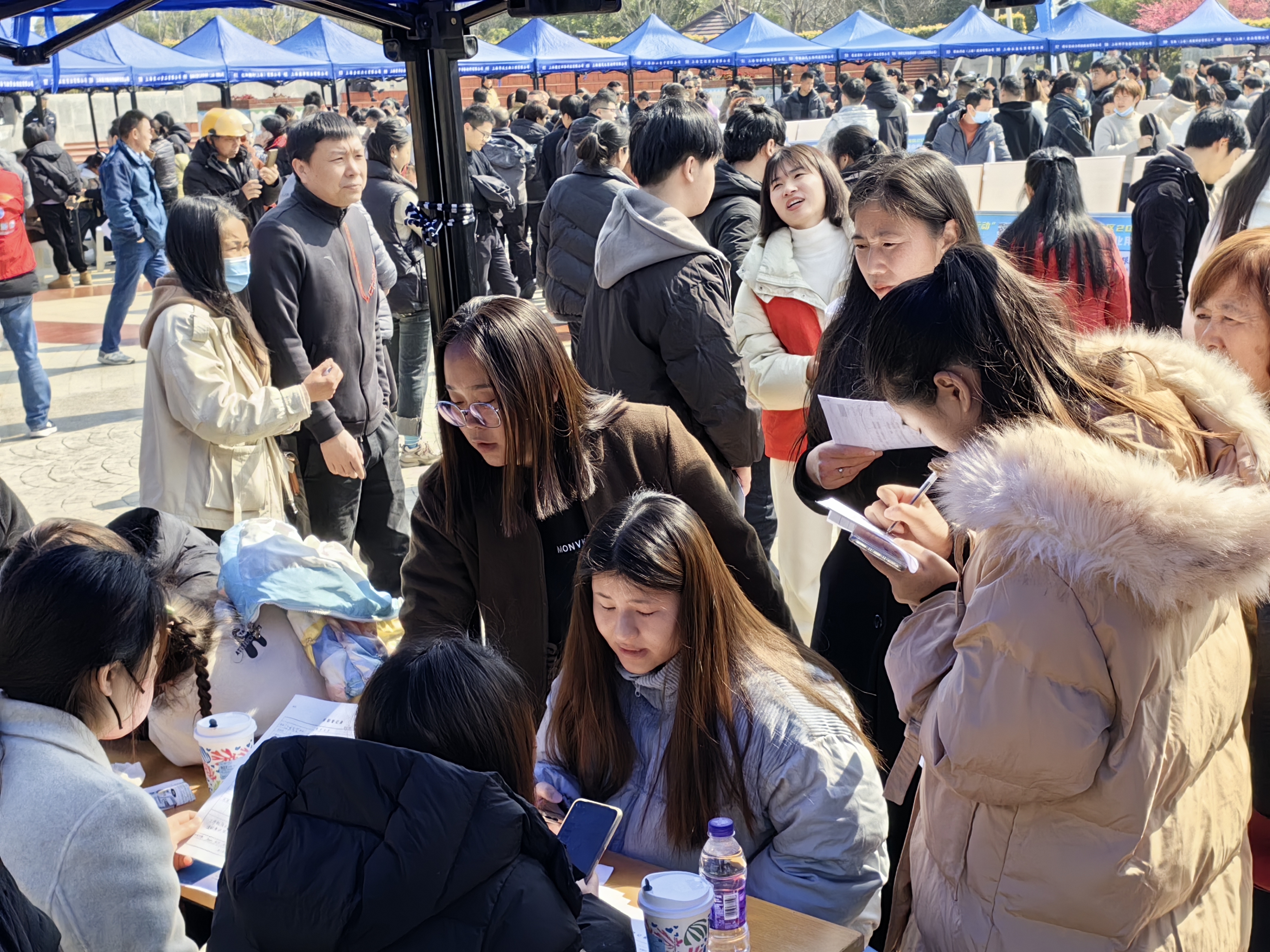 吸引求职者3500人金山这场招聘会提供就业岗位460个
