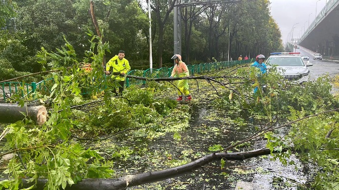 “贝碧嘉”登陆上海，直击风雨一线