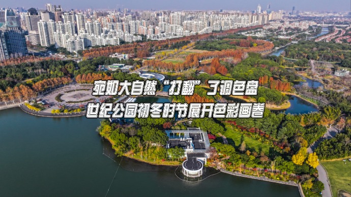 宛如大自然“打翻”了调色盘，世纪公园初冬时节展开色彩画卷