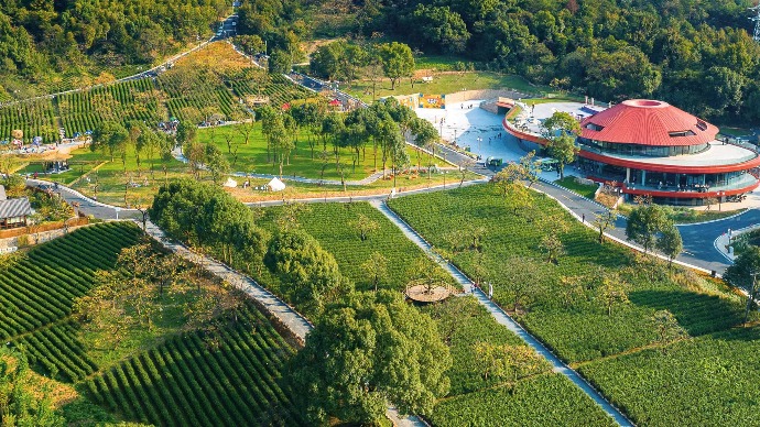 杭州发布乡村建设领域“1+41”成果体系，多个技术导则全国首创