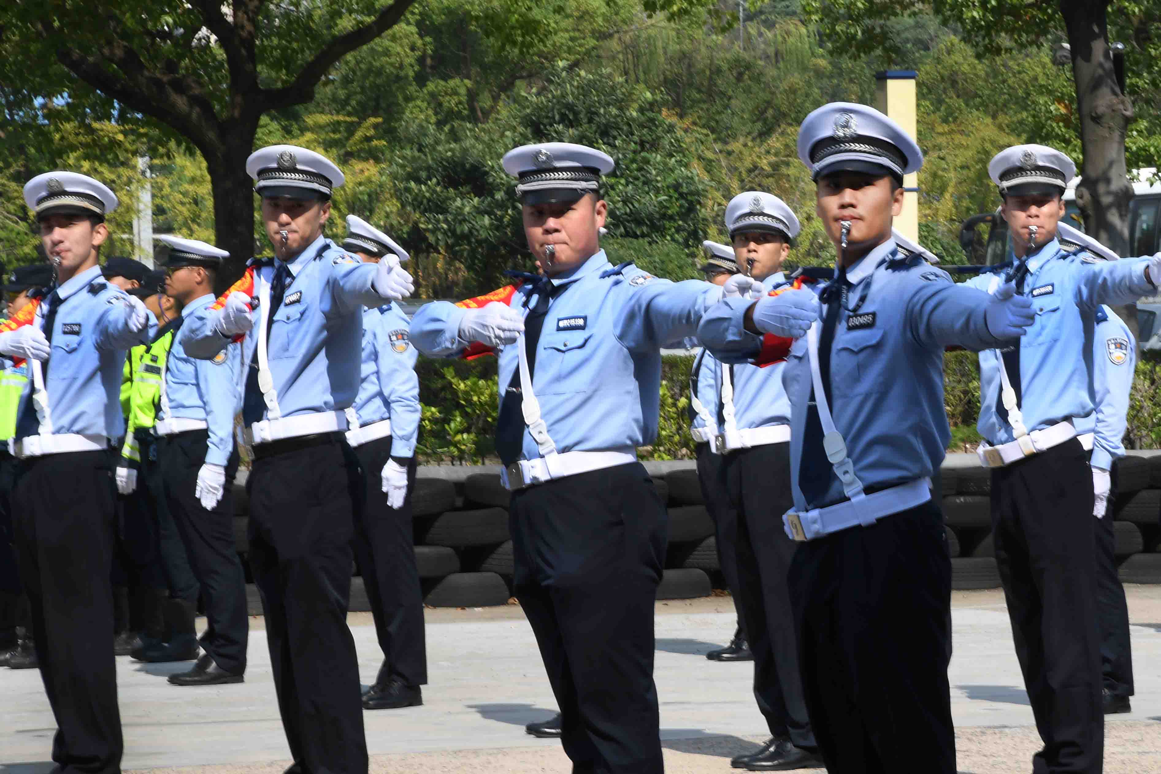 上海交警电话图片