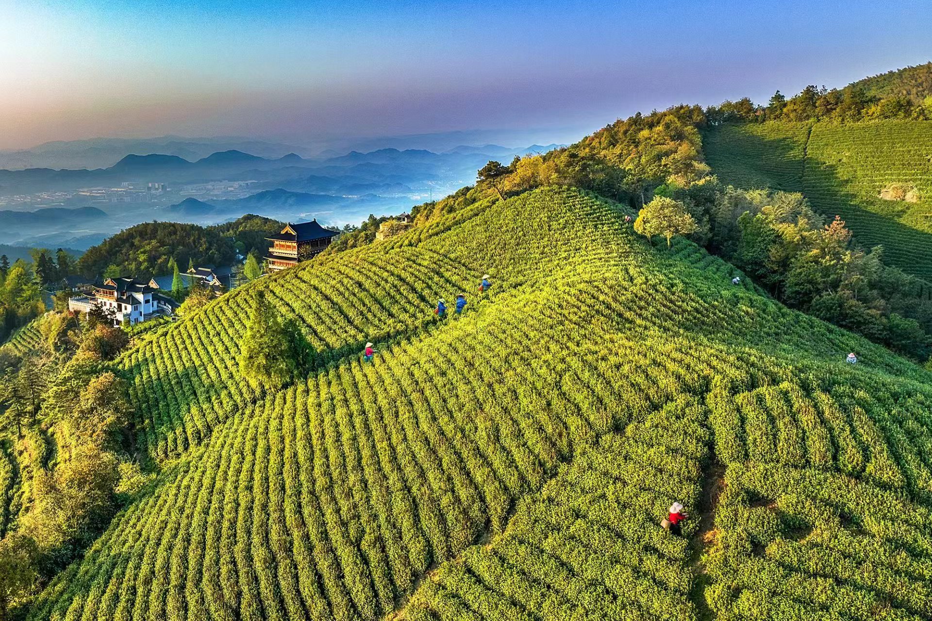 这是对千年径山茶厚重历史文化的尊重