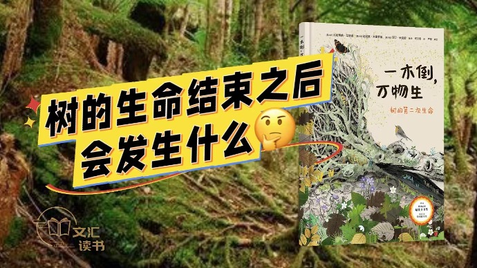 一木倒，万物生