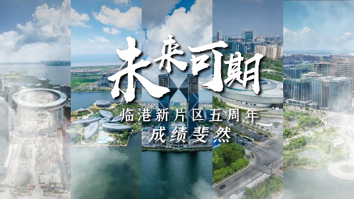 临港新片区五年磨一剑， “年轻的城”未来可期