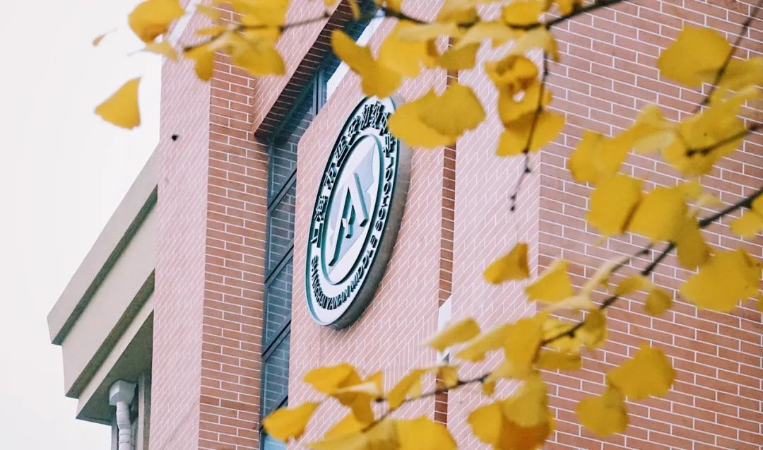 超出片这个季节的长宁校园太美了