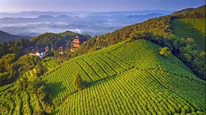 杭州余杭：国际茶界专家在径山共享千年禅茶文化