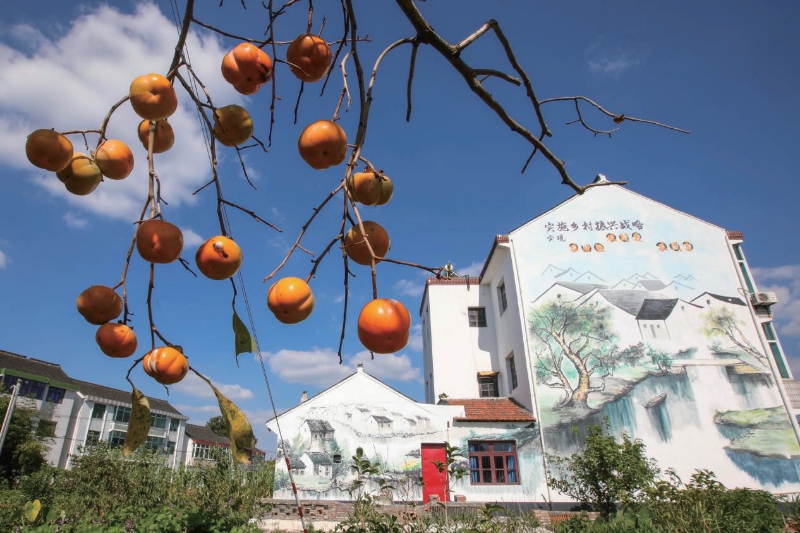 金山吕巷打造汽车智能装备产业利用乡村资源实施宅基共富计划