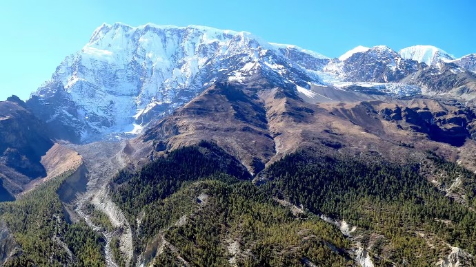 全球变暖再添明证：喜马拉雅山高山树线正加速向高海拔扩张