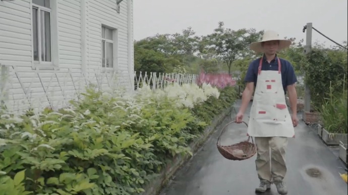 野圃｜“人民城市 文明风采”短视频作品展映