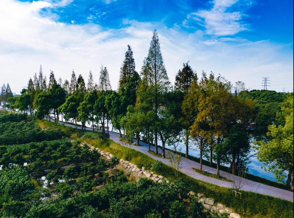 5月19日来杭州临平"走大运"