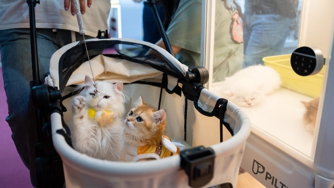 亚宠展人气火爆！人宠共生美好空间场景成亮点