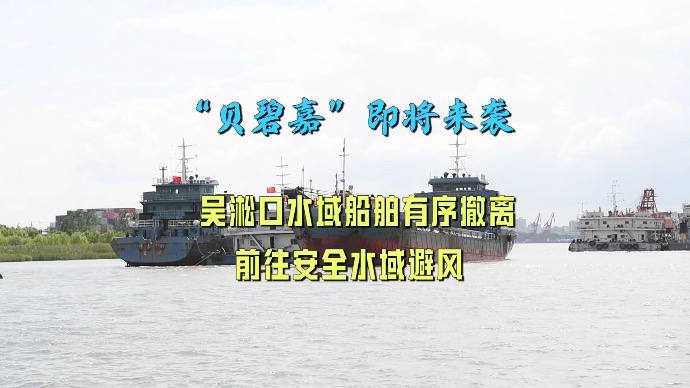 “贝碧嘉”即将来袭，吴淞口水域船舶有序撤离