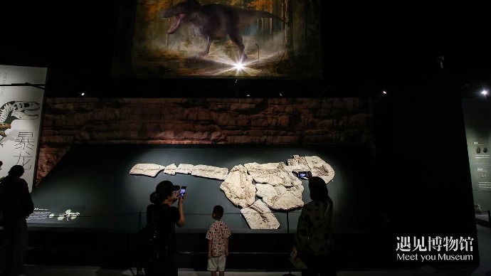 宛如走进“侏罗纪公园”! 超500件珍贵古生物化石在北京展出