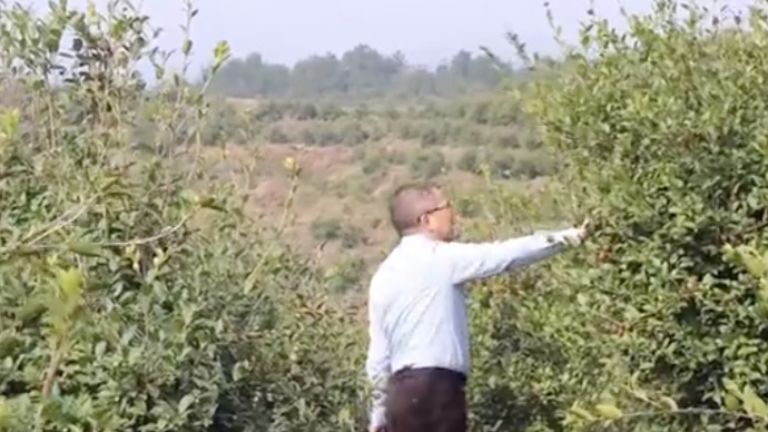 微电影 |  放弃高薪回乡创业，从一滴茶油里渗透的故乡情【全国大学生网络文化节获奖作品展映】