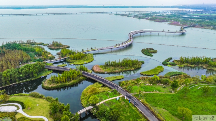 上海通过跨域合作践行人民城市理念，为市民带来更便利的生活和更优美的环境