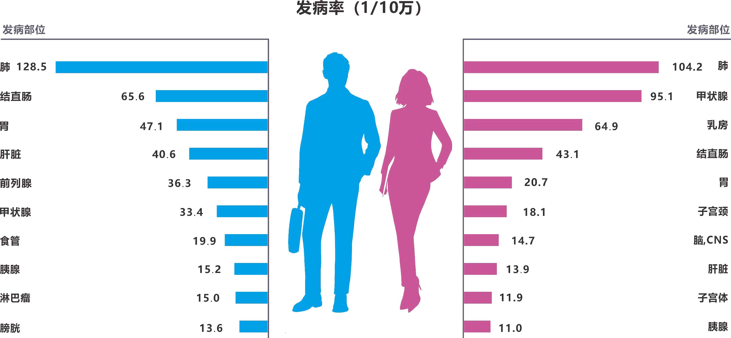 肺癌仍是第一杀手浙江发布2023年肿瘤登记年报肺癌发病率