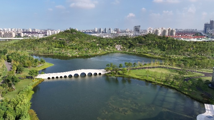 打卡上海新地标！去世博文化公园登双子山、逛温室花园