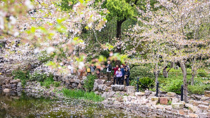 落英缤纷待客至，春日踏青正当时