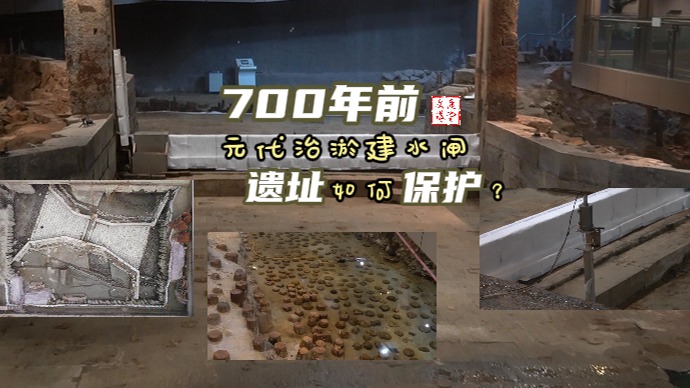 元代水闸遗址博物馆千根木桩享受何种保护待遇？ 