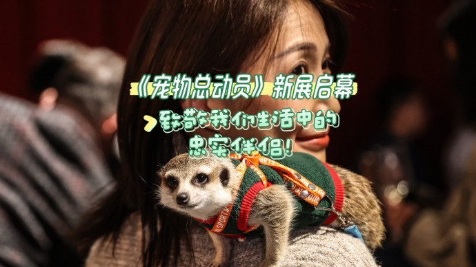 《宠物总动员》新展启幕，致敬我们生活中的忠实伴侣！