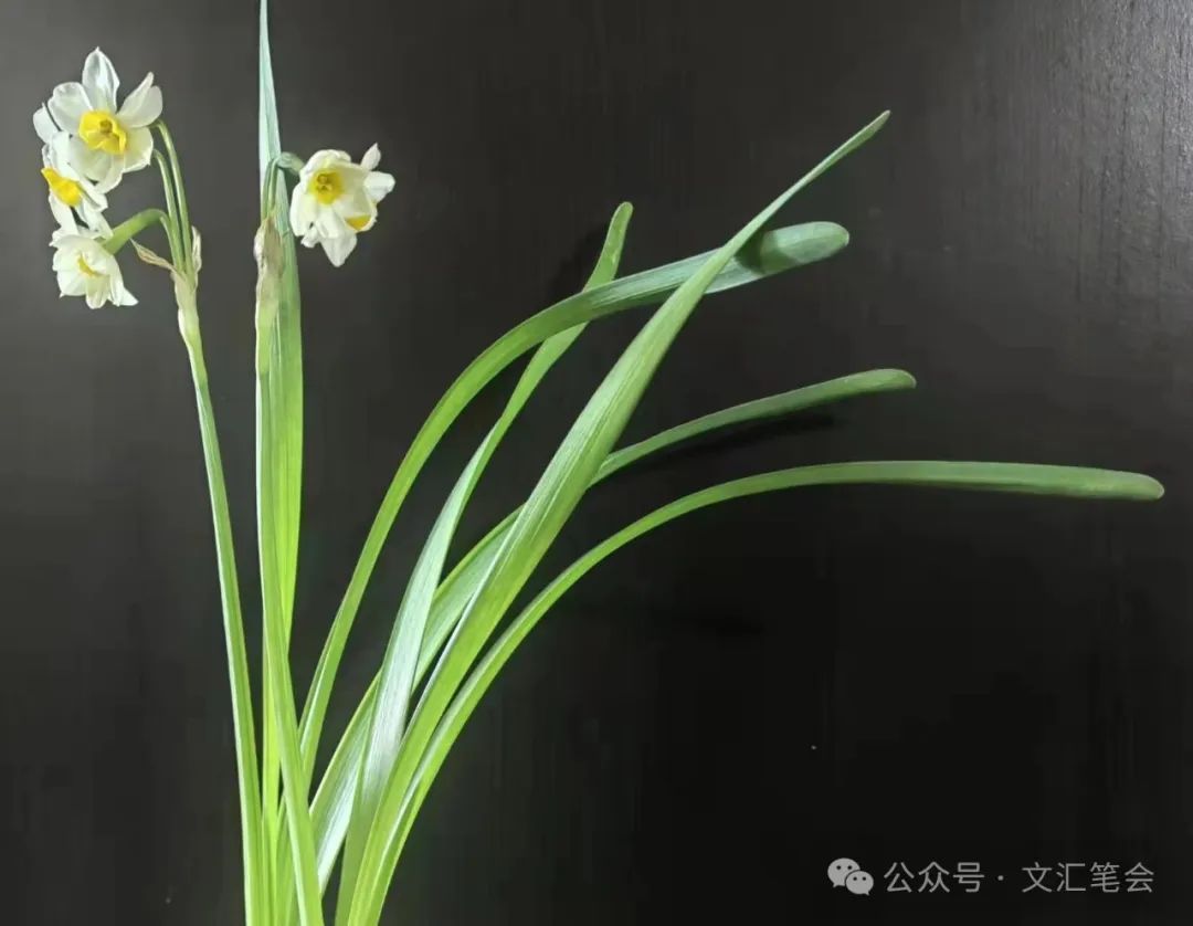 我不再看小人书了。那既是童年终结的一个象征，也是人生无可挽回的一个大错| 王培军_文汇