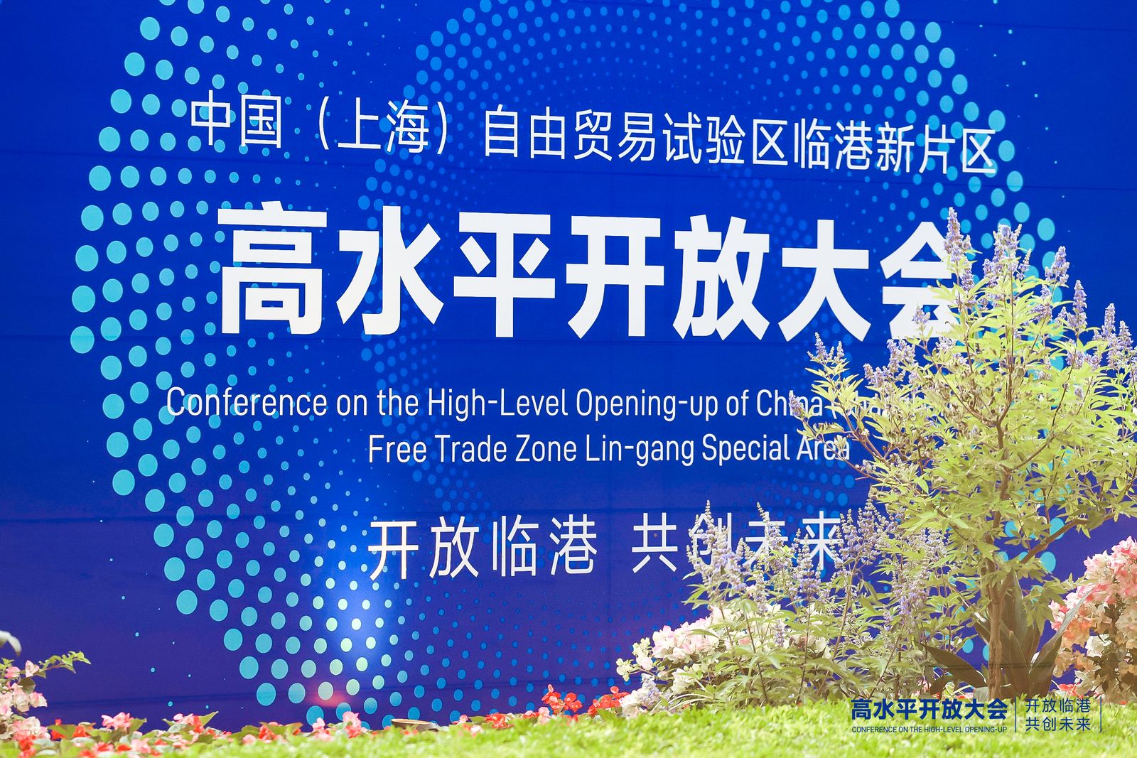 临港新片区正对接国际高标准经贸规则,打造中国开放发展的新标杆