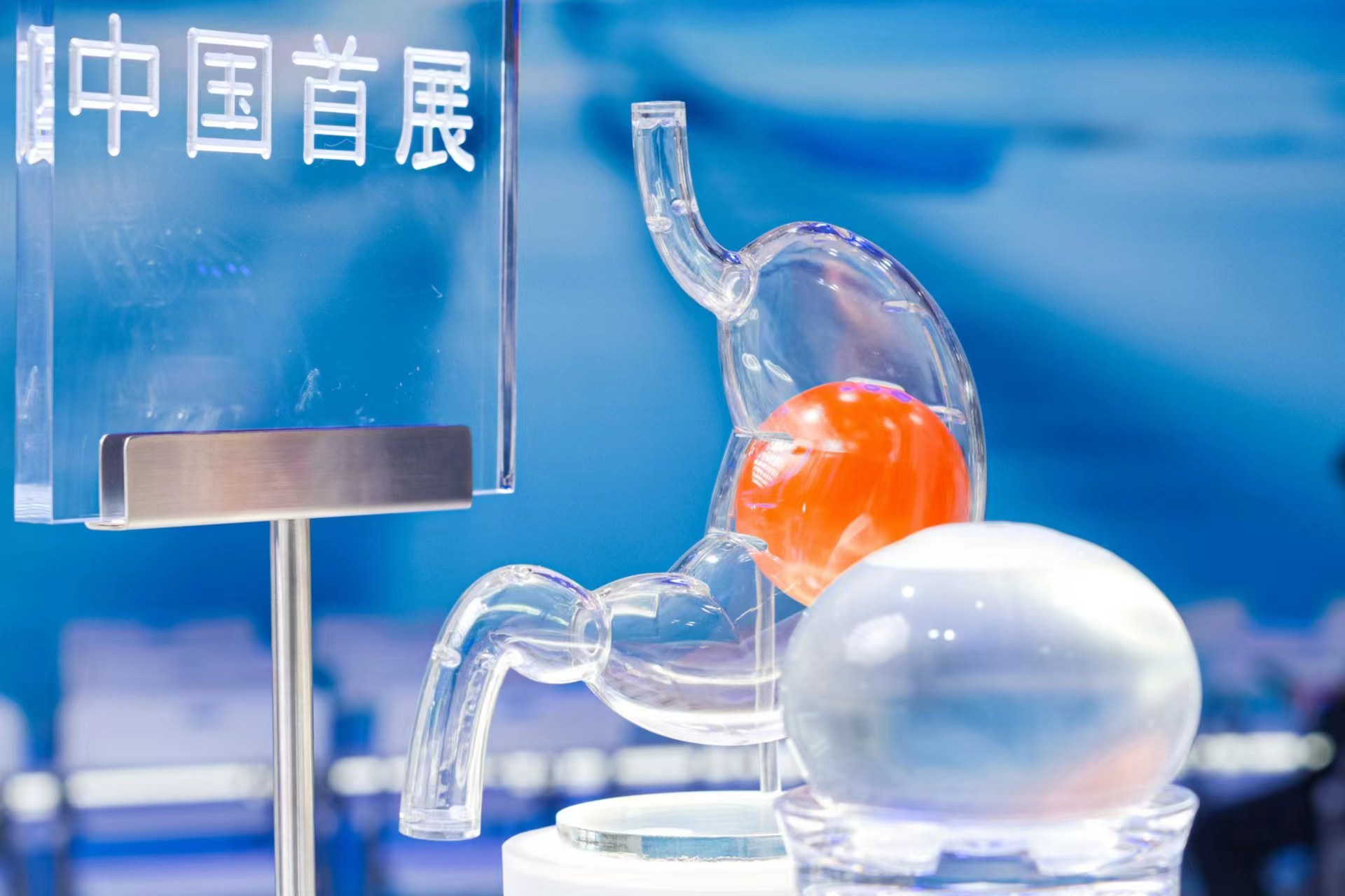 不想错过进博会这个聚光灯！”全球药械巨头齐聚“四叶草”_文汇