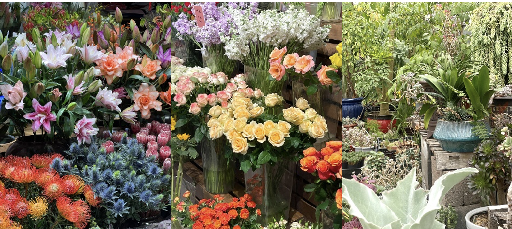 上海花卉市场批发市场营业时间