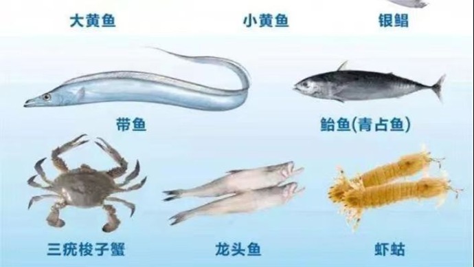 今起至8月1日，浙江禁售8种海鲜