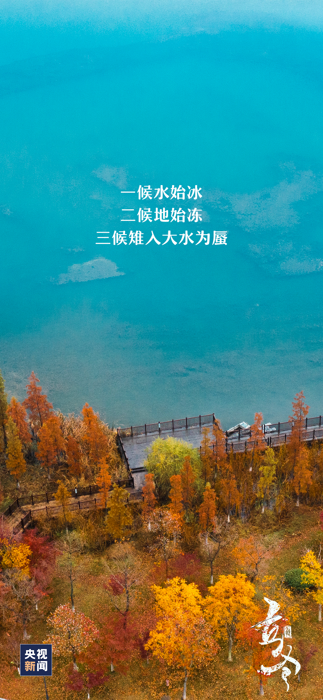 今日立冬你准备好迎接冬天了吗