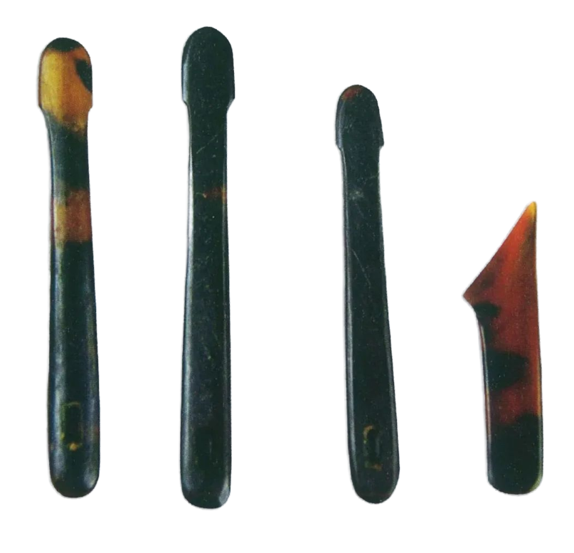 赵崧杰| “有所思，乃在大海南”——古代东西方海洋贸易中的玳瑁_文汇