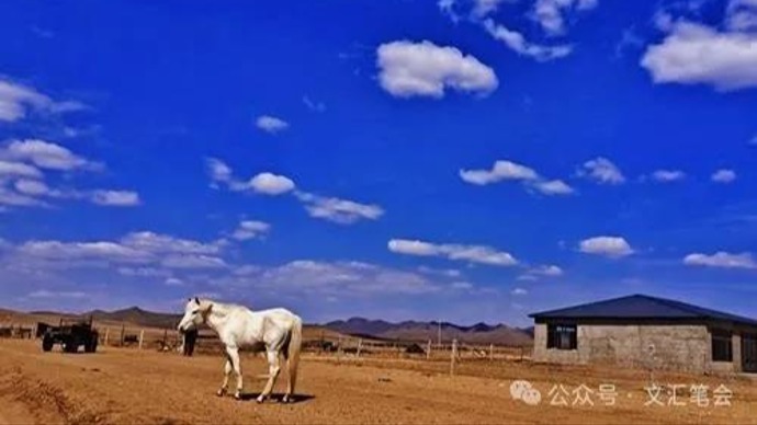 他有一匹潮合尔 | 阿尼苏