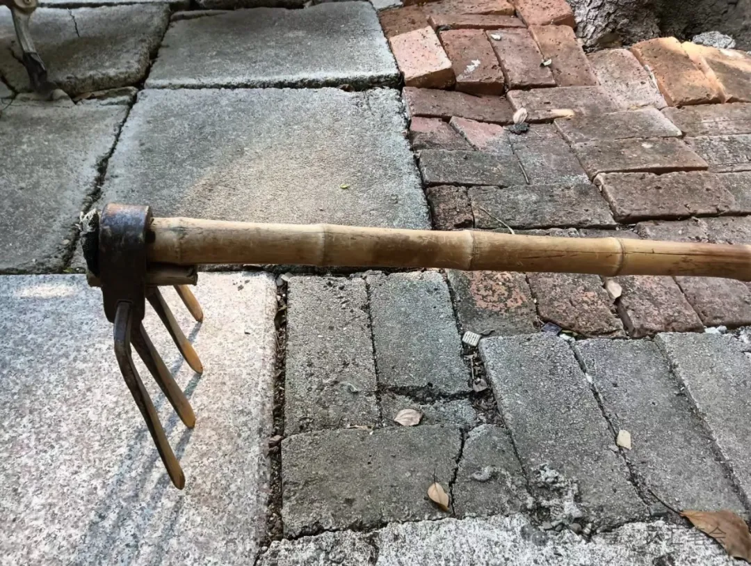 最好的农具 | 张秀英