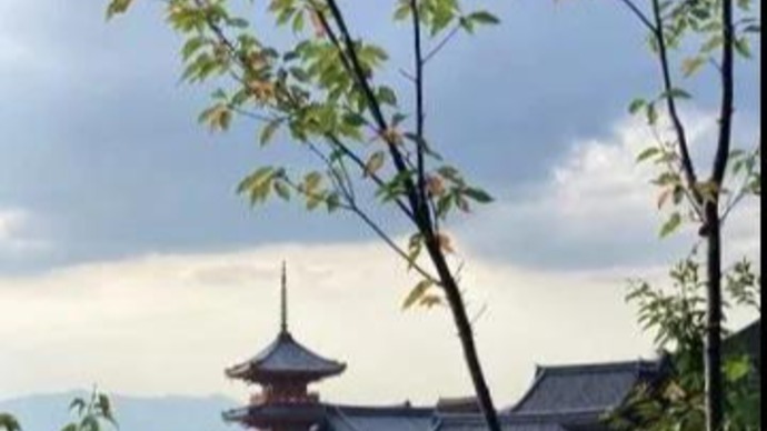 京都的风与景 | 罗小茗