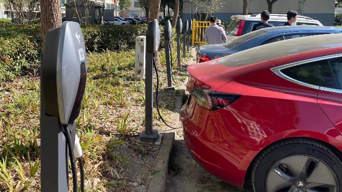 读者 | 为了回应市民这“桩”心事，金山形成一揽子推进措施