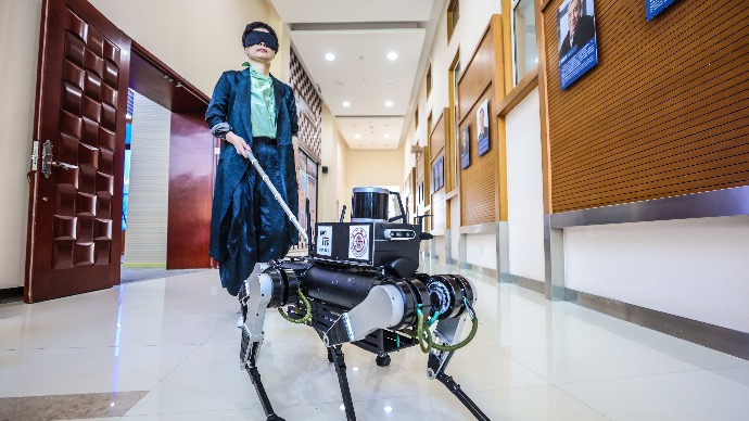 成为视障人士的“第二双眼睛” 上海交大团队研制“导盲六足机器人”：1秒之内可响应