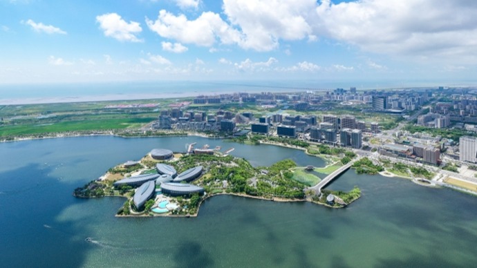 临港新片区：立足开放创新核心使命，推动特殊经济功能加速孕育